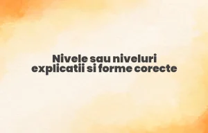 Nivele sau niveluri explicatii si forme corecte