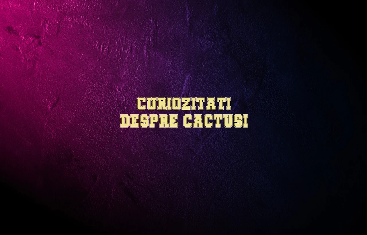 curiozitati despre cactusi