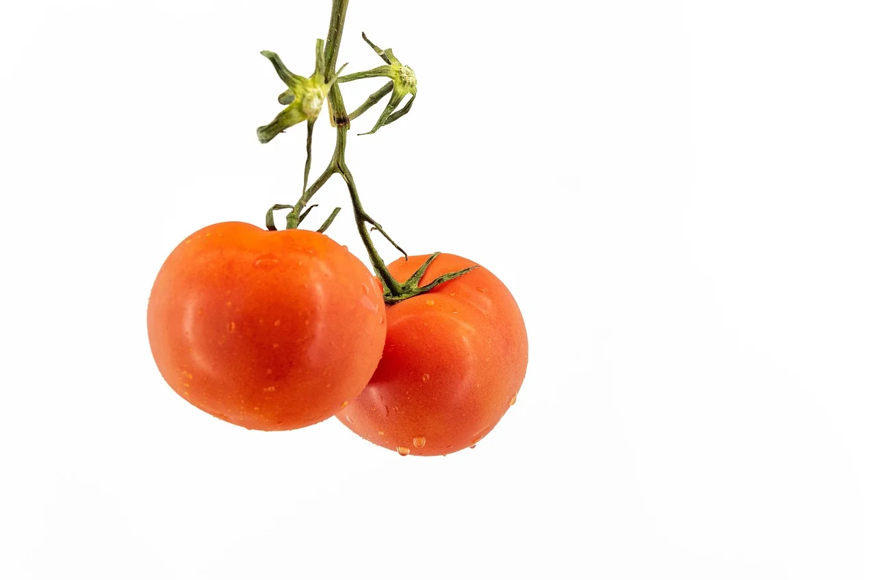 soiuri de rosii timpurii